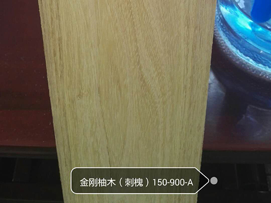 金刚柚木（槐木）150-900-A
