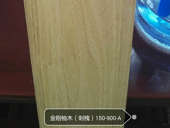 金刚柚木（刺槐）150-900-A